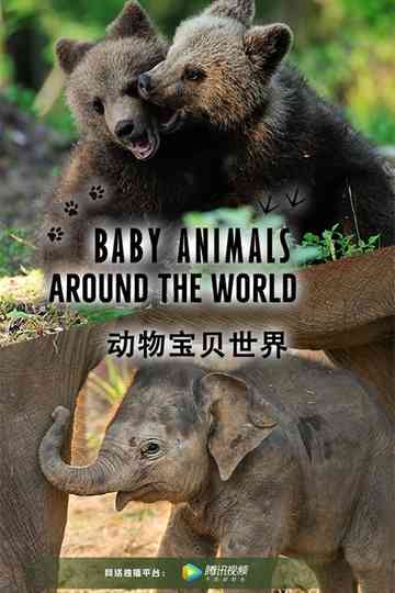 Baby Animals Around the World Poster