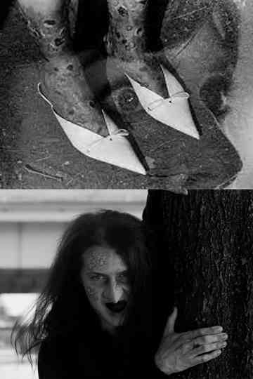 The Pointy Slippers Poster