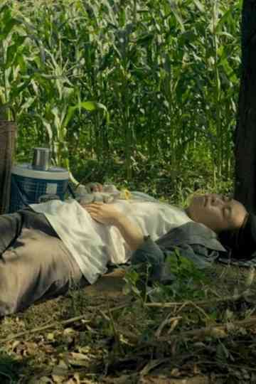 Spirits of the Black Leaves Poster