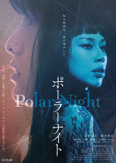 Polar Night Poster