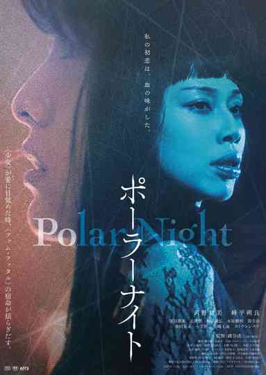 Polar Night Poster