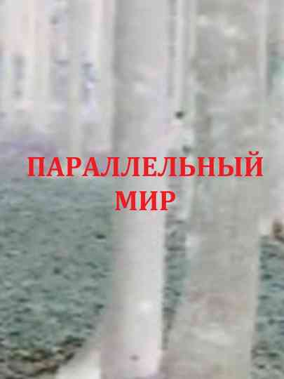Parallel World Poster