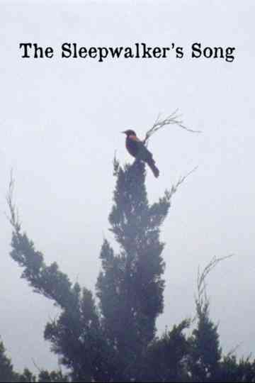 The Sleepwalker’s Song Poster