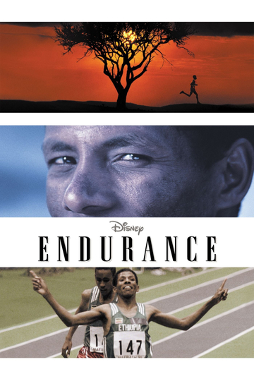 Endurance Poster