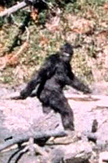 Patterson-Gimlin Film