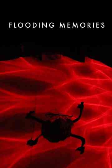 Flooding Memories Poster