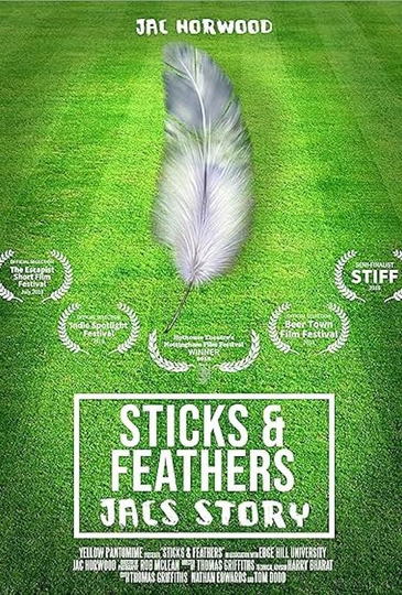 Sticks and Feathers Poster