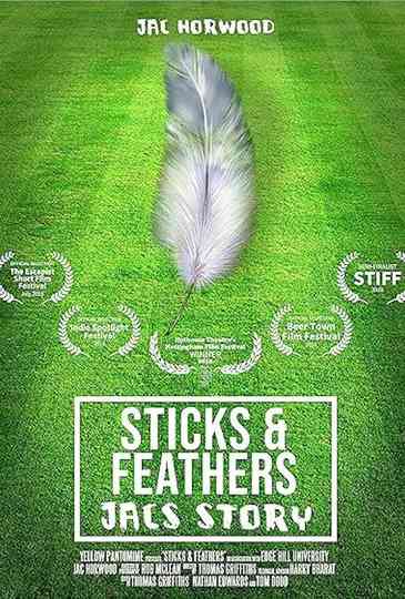Sticks and Feathers Poster