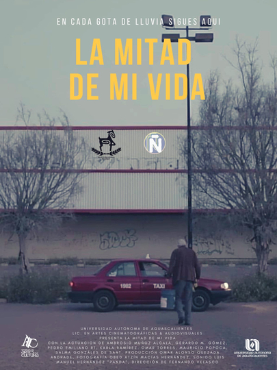 La Mitad De Mi Vida Poster