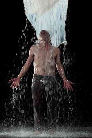 Inverted Birth Poster