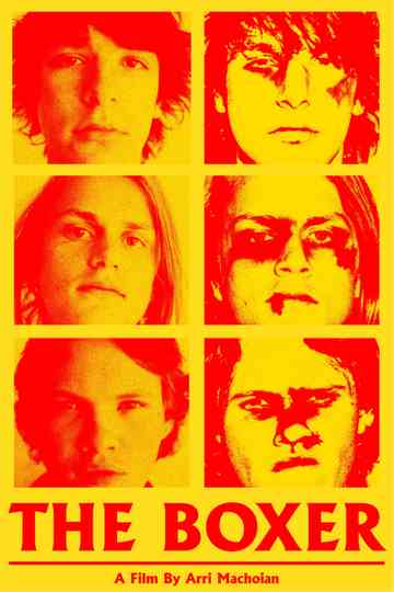 The Boxer Poster