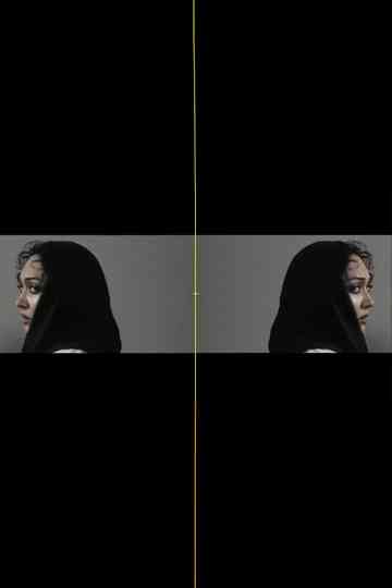 chaste/unchaste Poster