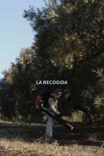 La Recogida Poster