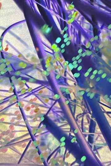 Peeping Freedom Pavilion for Sojourner Truth (Apollomat horizontal screen PFP) Poster