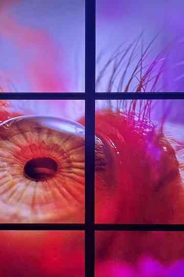 Peeping Freedom Shutters for Osakabe Sayaka (Apollomat vertical screen PFS_D) Poster