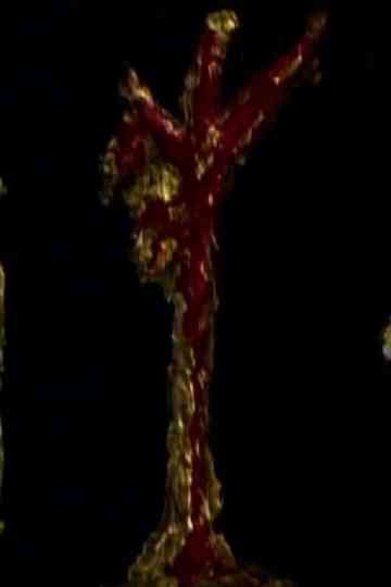 the catacombs Poster