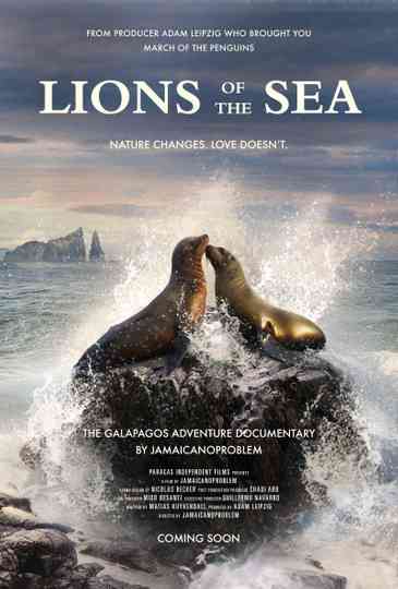 Lions of the Sea Poster