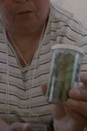 Médecine traditionnelle Poster