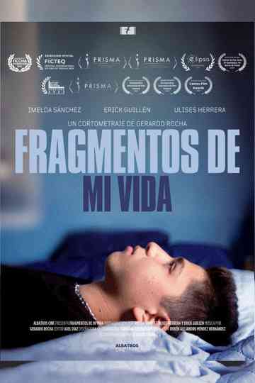 Fragmentos de mi Vida Poster