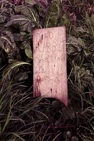 Dead Rabbit Skellington Poster