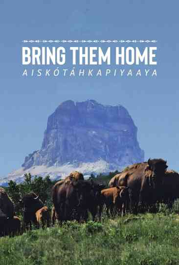 Bring Them Home Poster