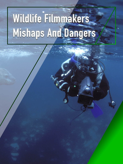 Wildlife Filmmakers: Mishaps and Dangers