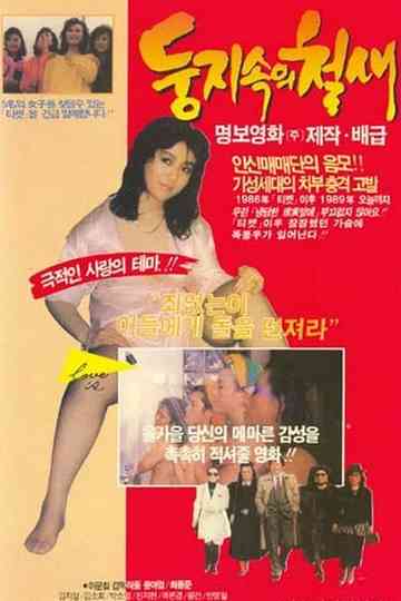 A Migrant Bird in a Nest Poster