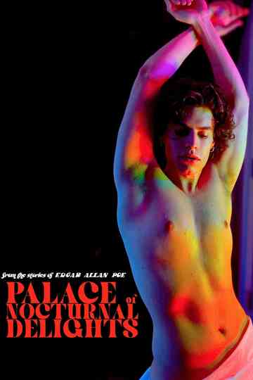 Palace of Nocturnal Delights Poster