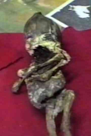 Kyshtym Dwarf Poster