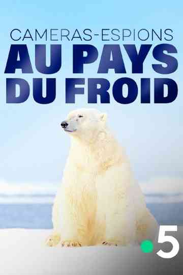 Caméras-espions au pays du froid Poster