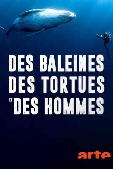 Des baleines, des tortues et des hommes Poster