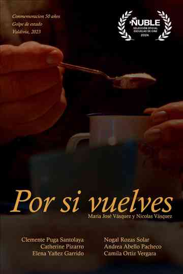 Por si vuelves... Poster