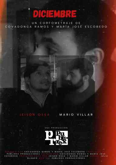 Diciembre Poster