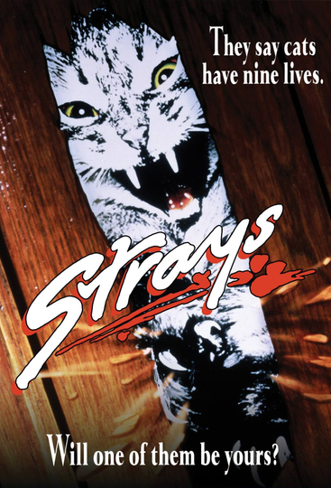 Strays Poster