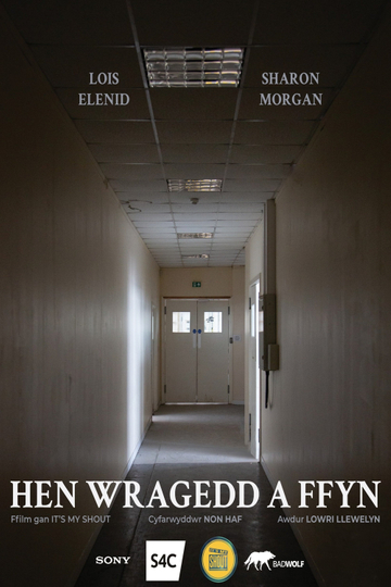 Hen Wragedd a Ffyn Poster