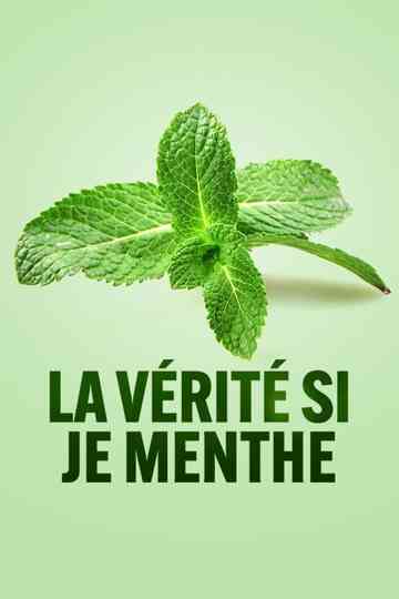 La vérité si je menthe Poster