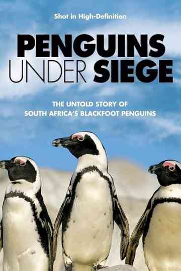Penguins Under Siege Poster