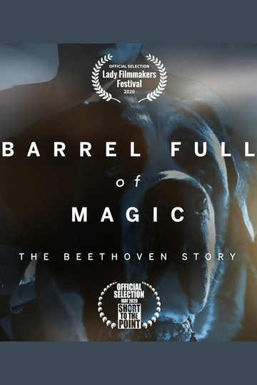 Barrel Full of Magic The Beethoven Story Poster