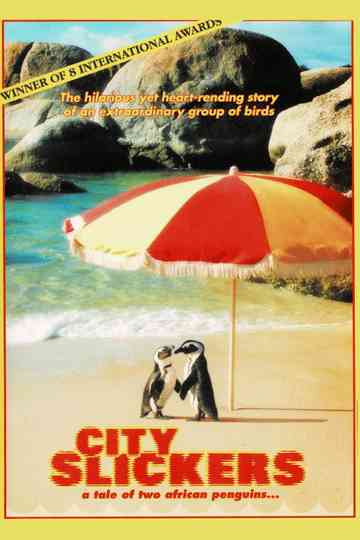 City Slickers: A tale of two African penguins Poster