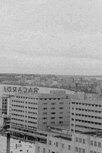 Looking for El Santo Poster