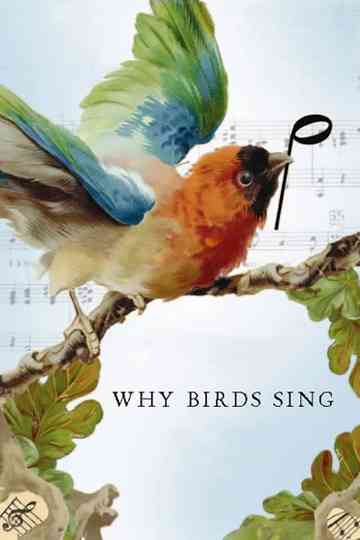 Why Birds Sing Poster