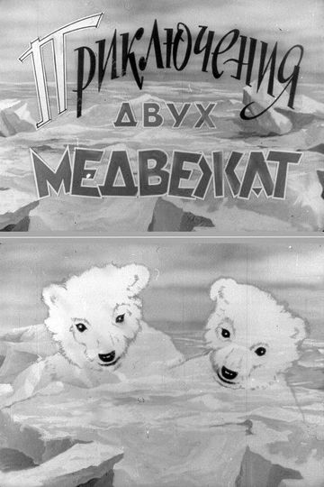 Adventures of Two Bear Cubs