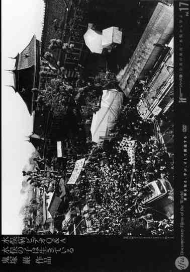 Minamata Disease Video QA Poster