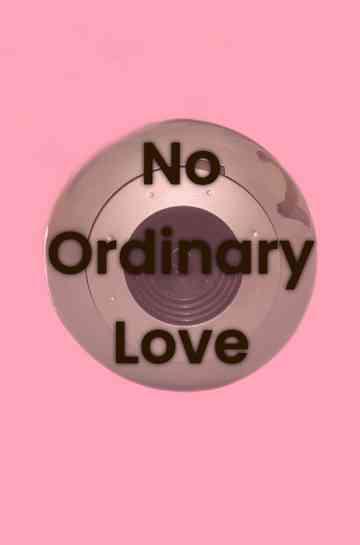 No Ordinary Love