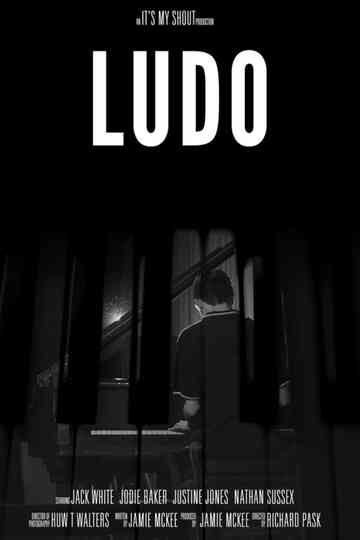 Ludo Poster