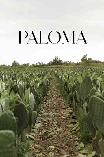Paloma poster