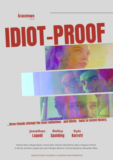 IdiotProof Poster