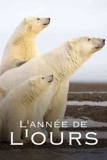 L'Année de l'ours Poster