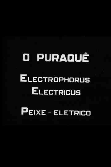 O Puraquê Poster