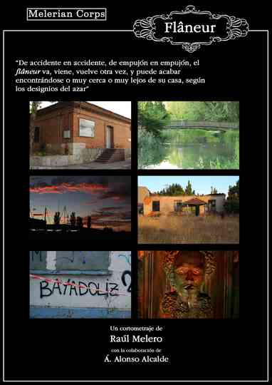 Flâneur El paseador Poster
